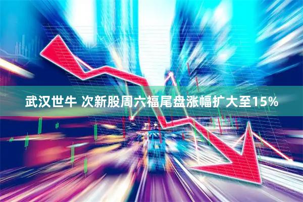 武汉世牛 次新股周六福尾盘涨幅扩大至15%