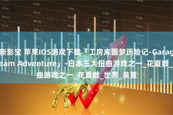 新影宝 苹果IOS游戏下载「工房库噩梦历险记-Garage Bad Dream Adventure」-日本三大扭曲游戏之一_花夏数_世界_装置